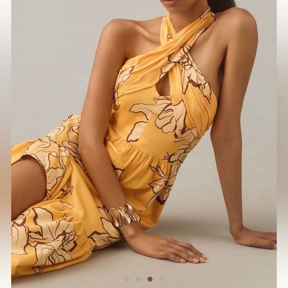 Hutch Floral Halter Maxi Dress - Picture 3 of 5